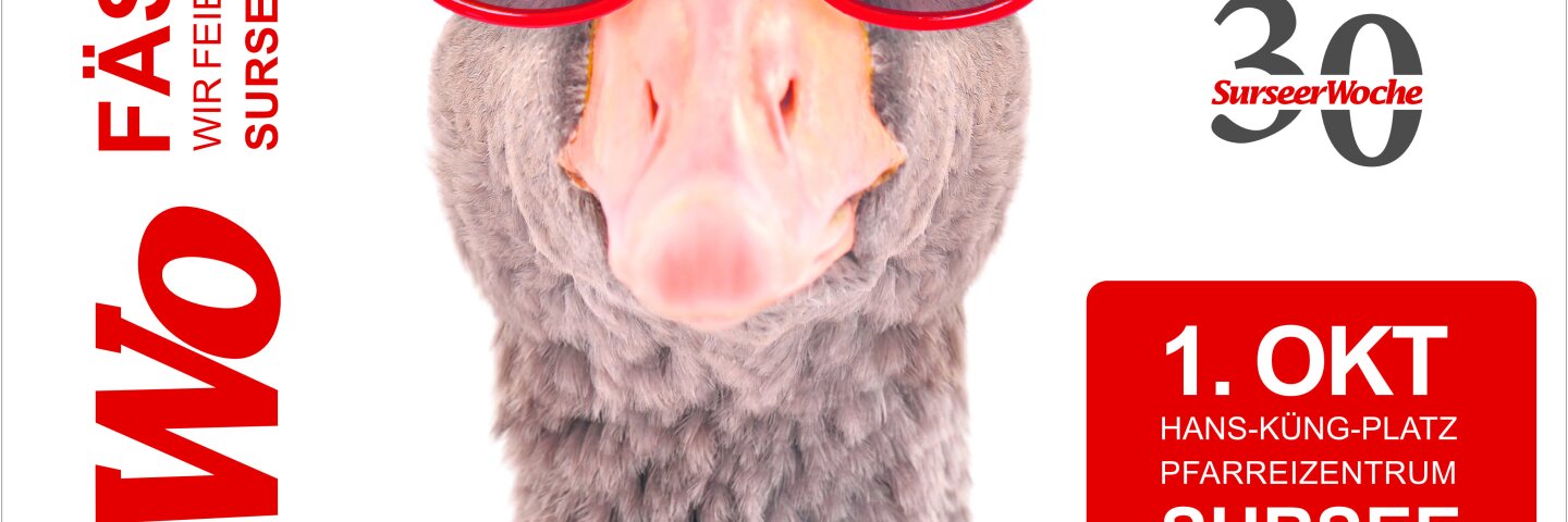 landingpage festprogramm1