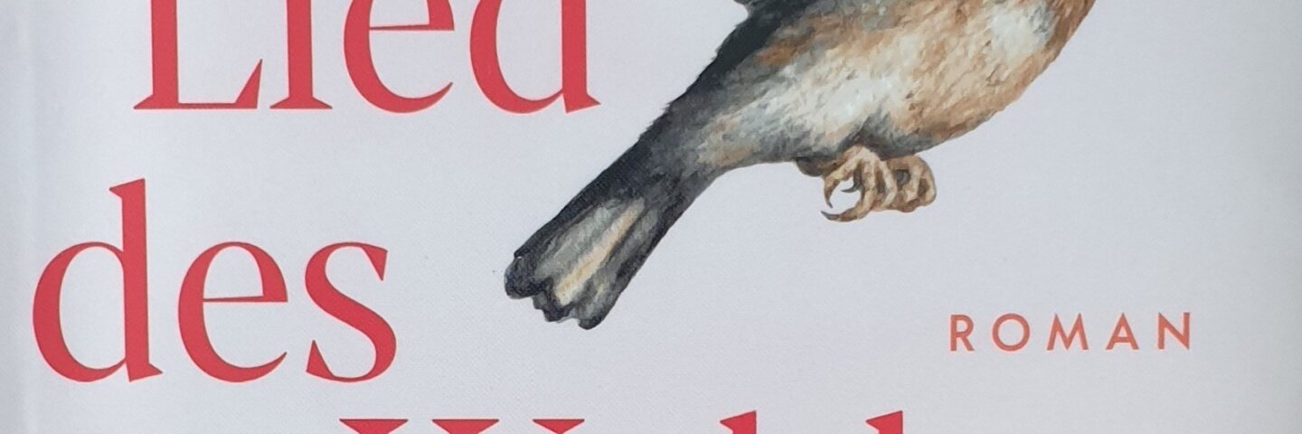 Das Lied des Waldes 003 29.9.2022 Bild